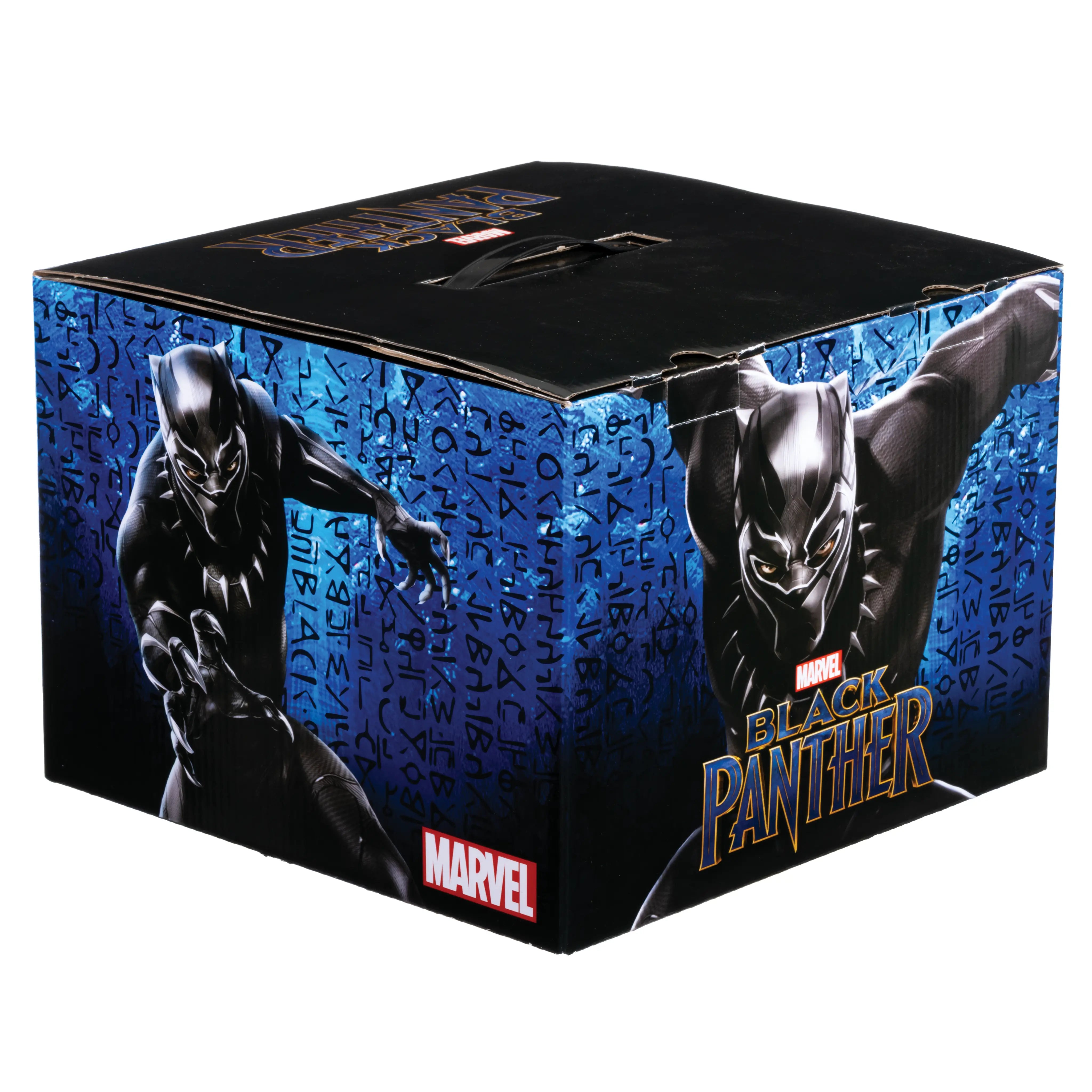 Black Panther Mystery Box – Stylin Boxes
