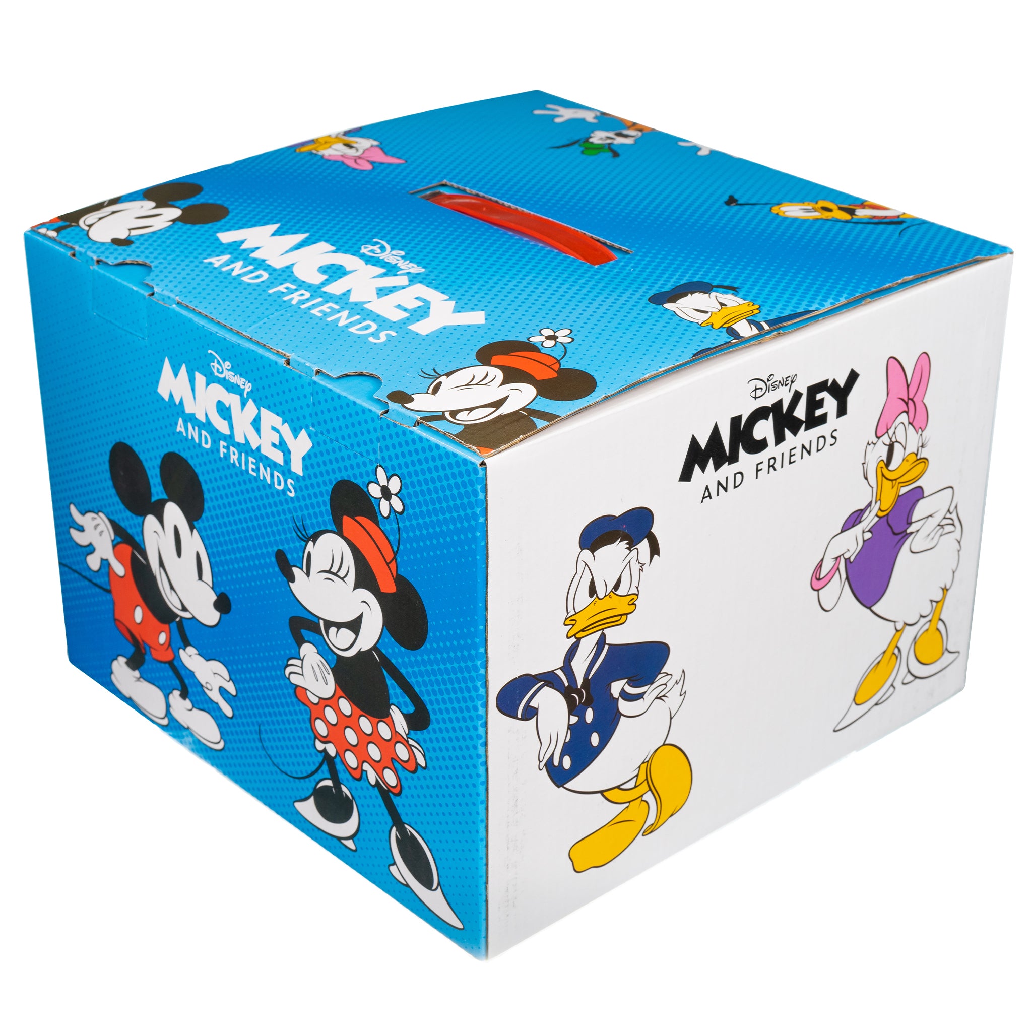 Disney Mickey and Friends Mystery Box – Stylin Boxes