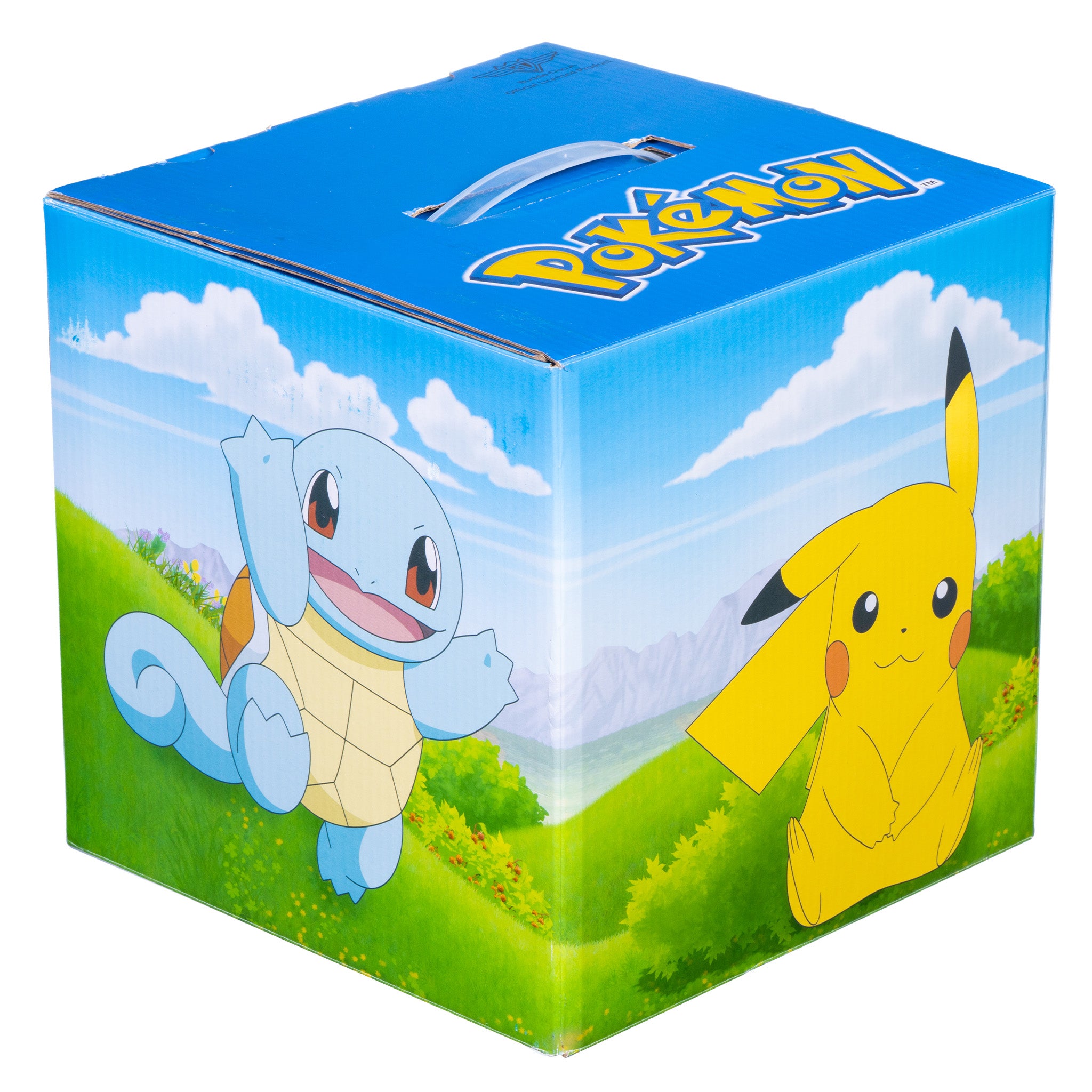 Pokemon Mystery Box Stylin Boxes Pokemon Mystery Box Stylin Boxes