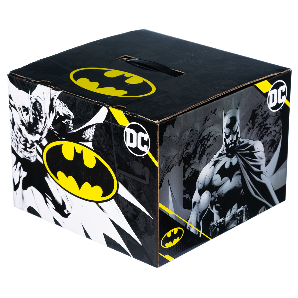 Batman Moving Box Stylin Drops - New Box Every Week! – Stylin Boxes