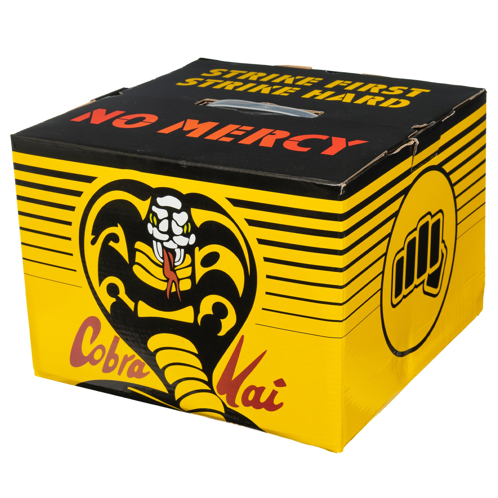 Cobra Kai Karate Kid Box