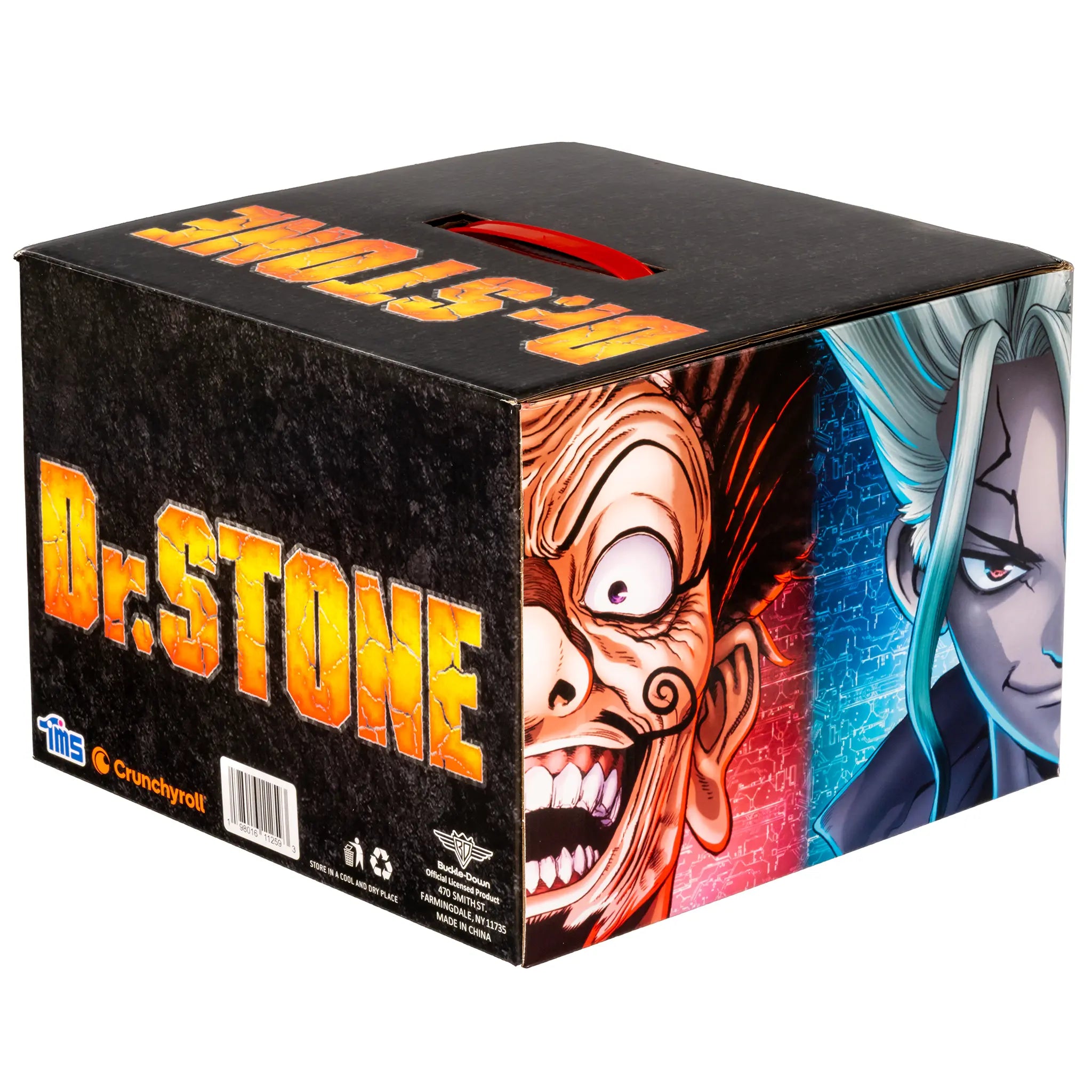 Dr. Stone Mystery Box – Stylin Boxes