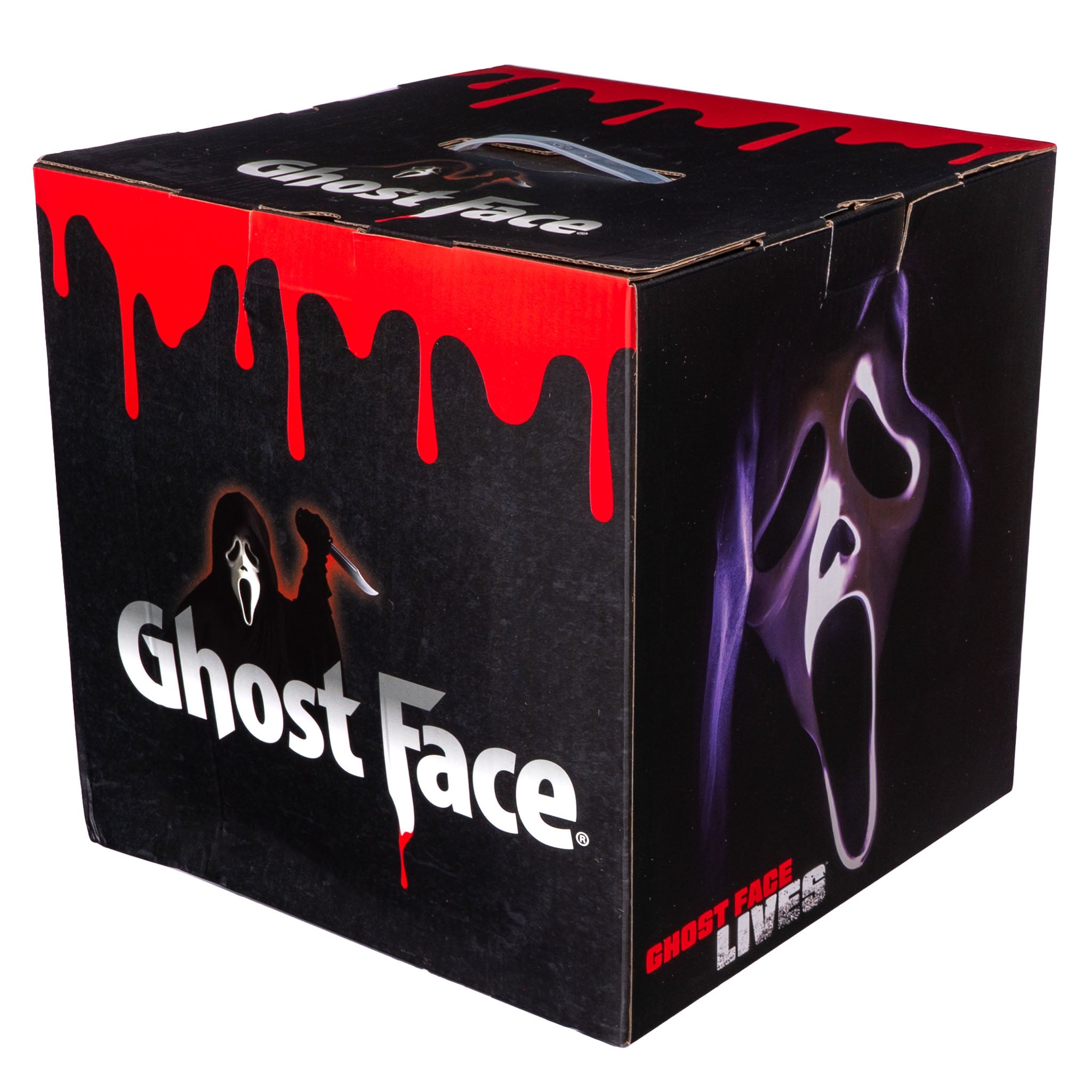 Ghostly Box Ghost Face Mystery Box – Stylin Boxes