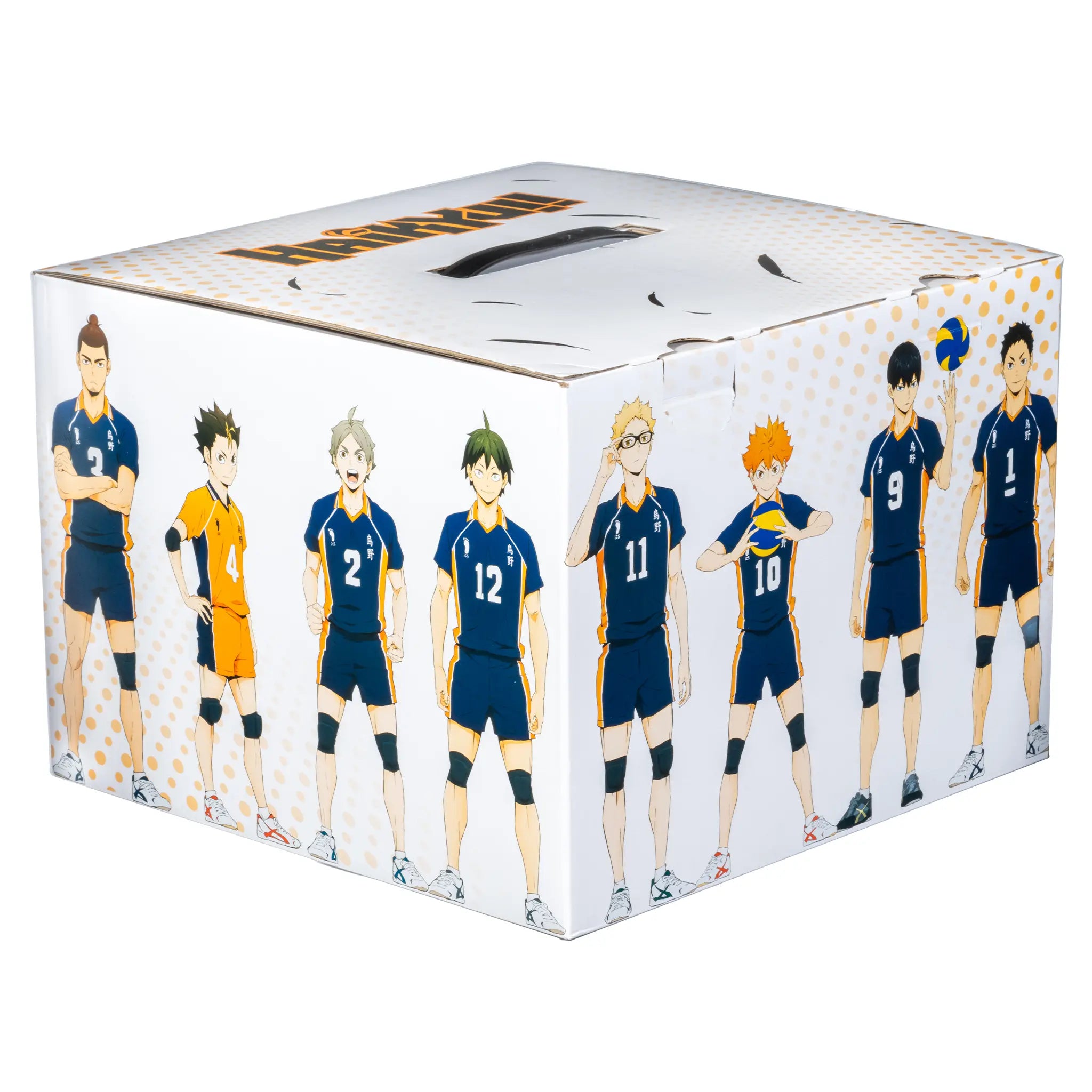 Haikyu Mystery Box 1
