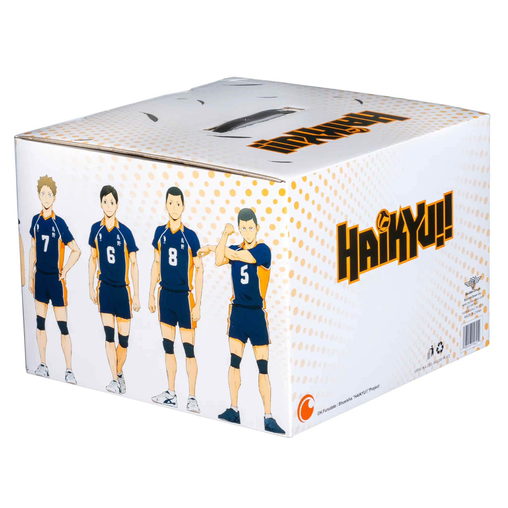 Haikyu Mystery Box 2