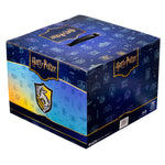 Harry Potter Hufflepuff Mystery Box v2 2