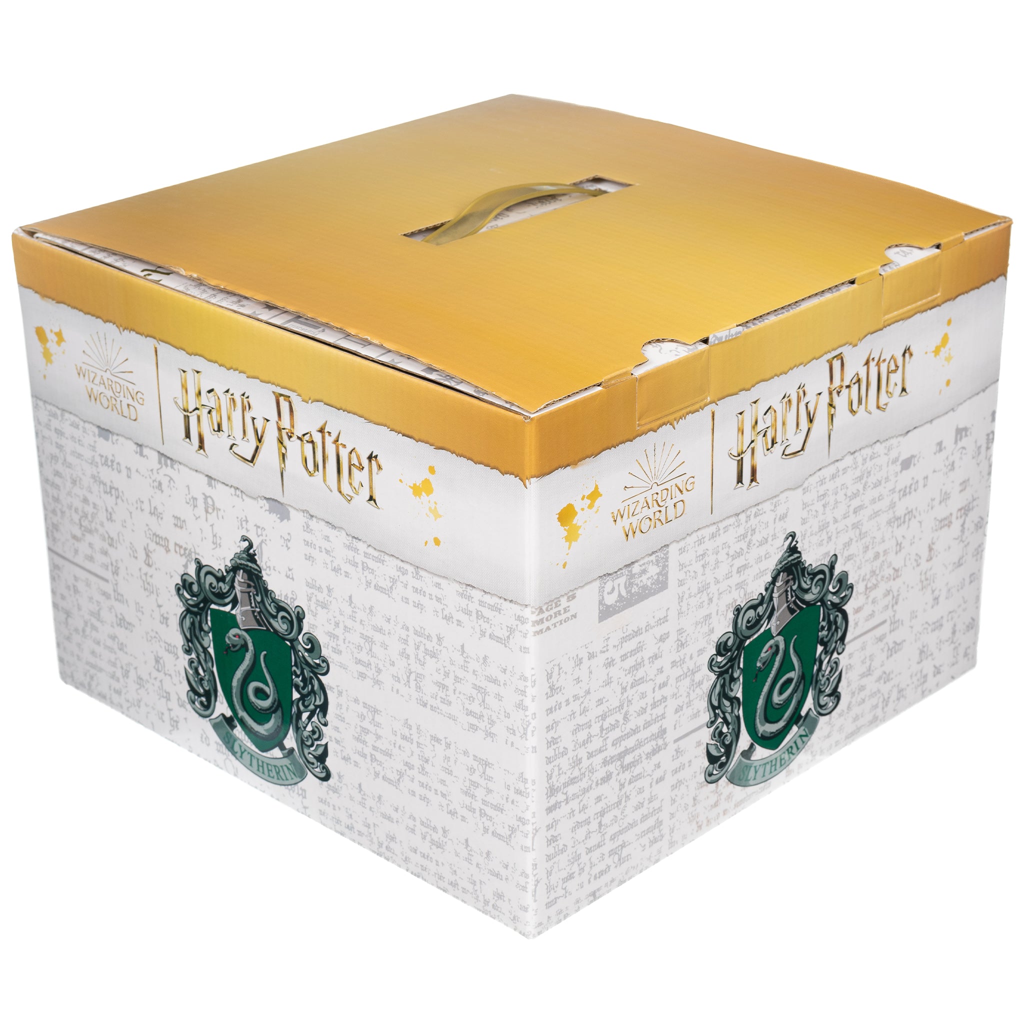 Harry Potter Slytherin Mystery Box – Stylin Boxes