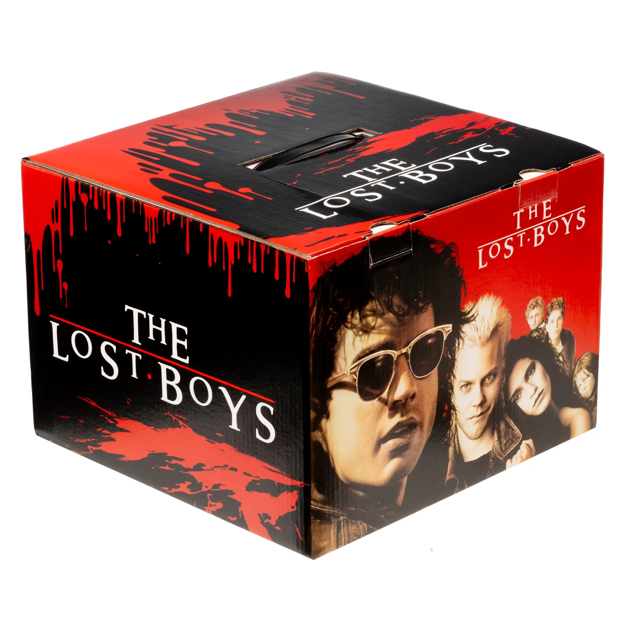 Lost Boys Mystery Box