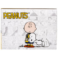 Peanuts Mystery Box (Ver. 2)