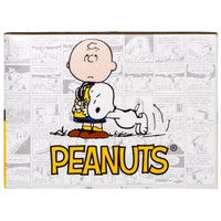 Peanuts Mystery Box (Ver. 2)