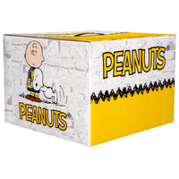 Peanuts Mystery Box (Ver. 2)
