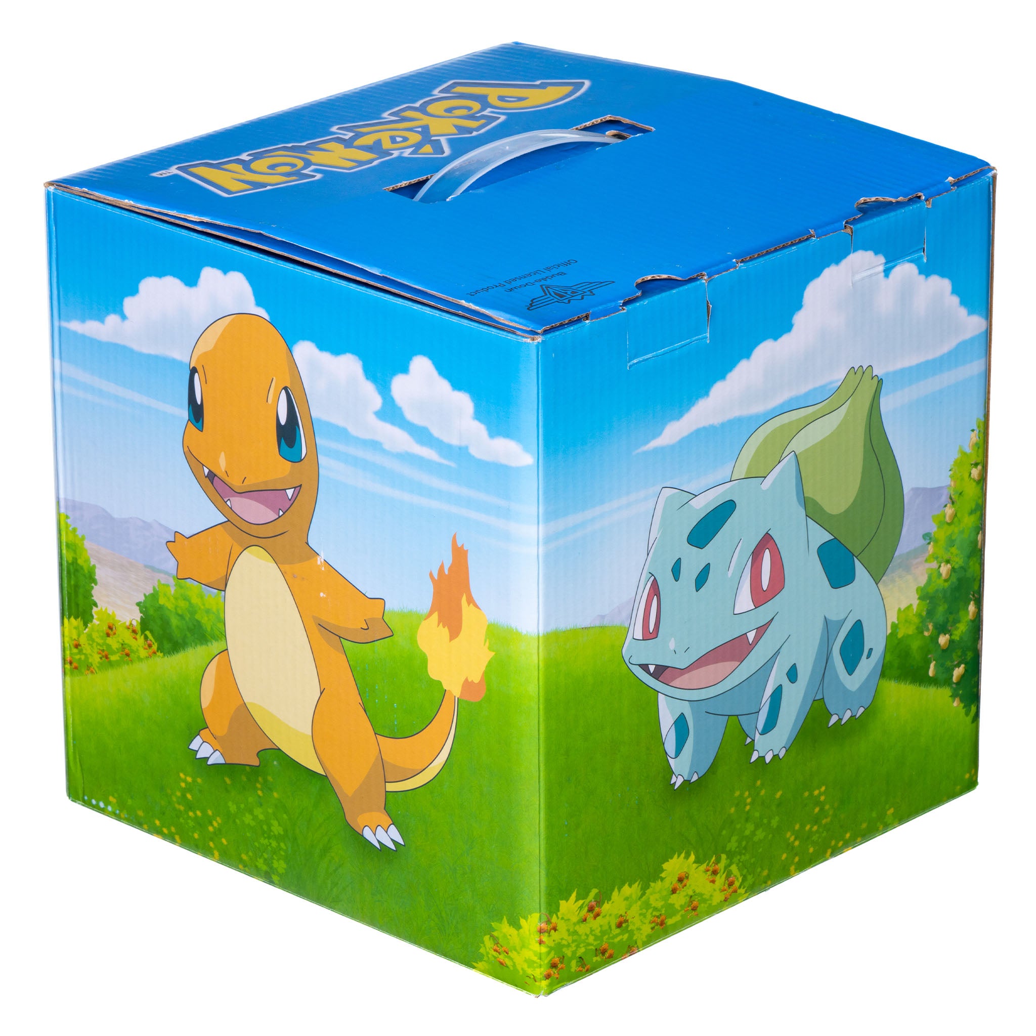 Pokemon mystery purchases bag