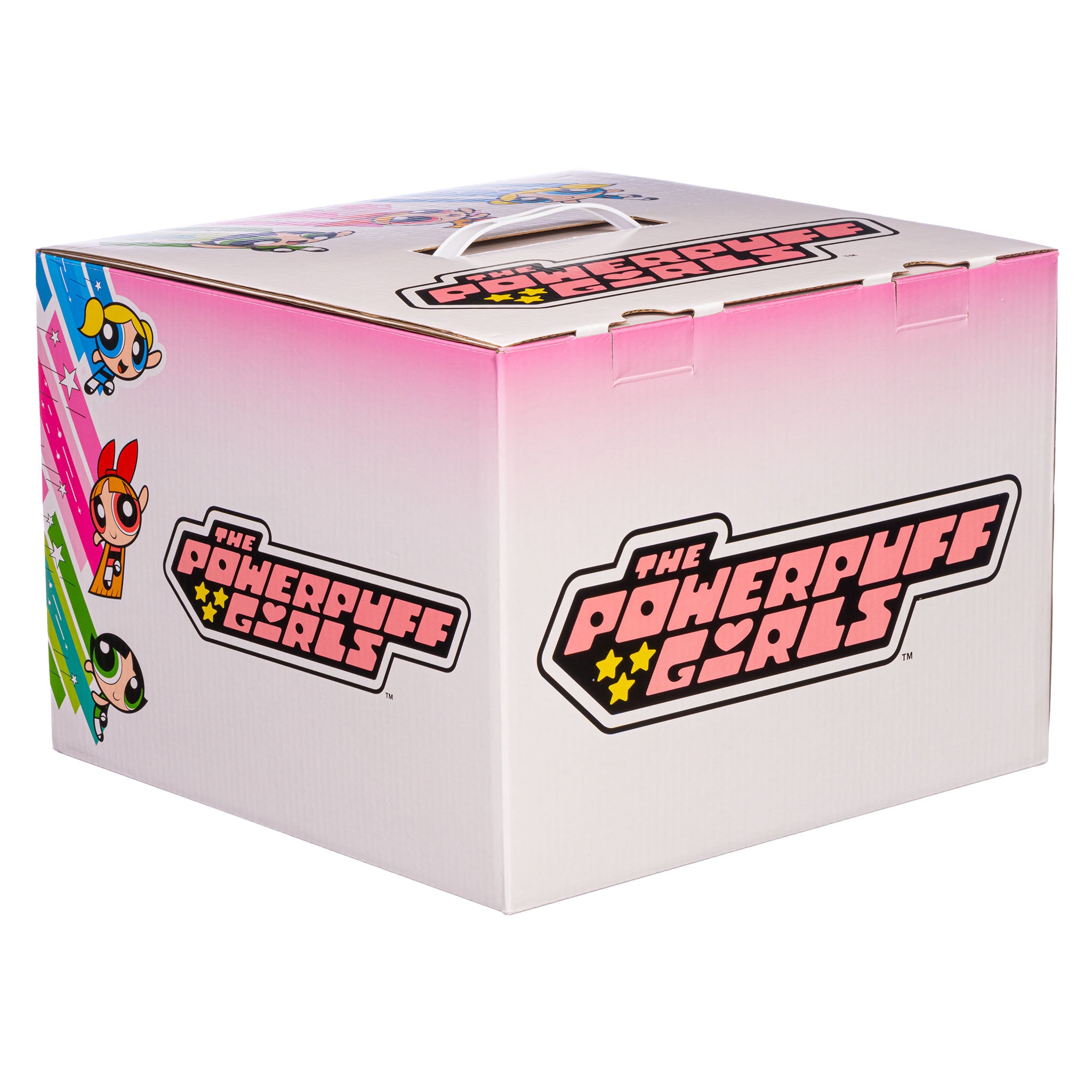 Powerpuff Girls Mystery Box – Stylin Boxes