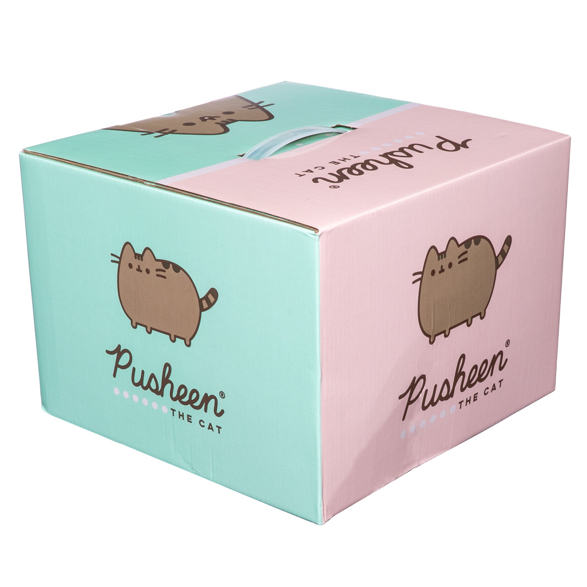 Pusheen The Cat Box 1