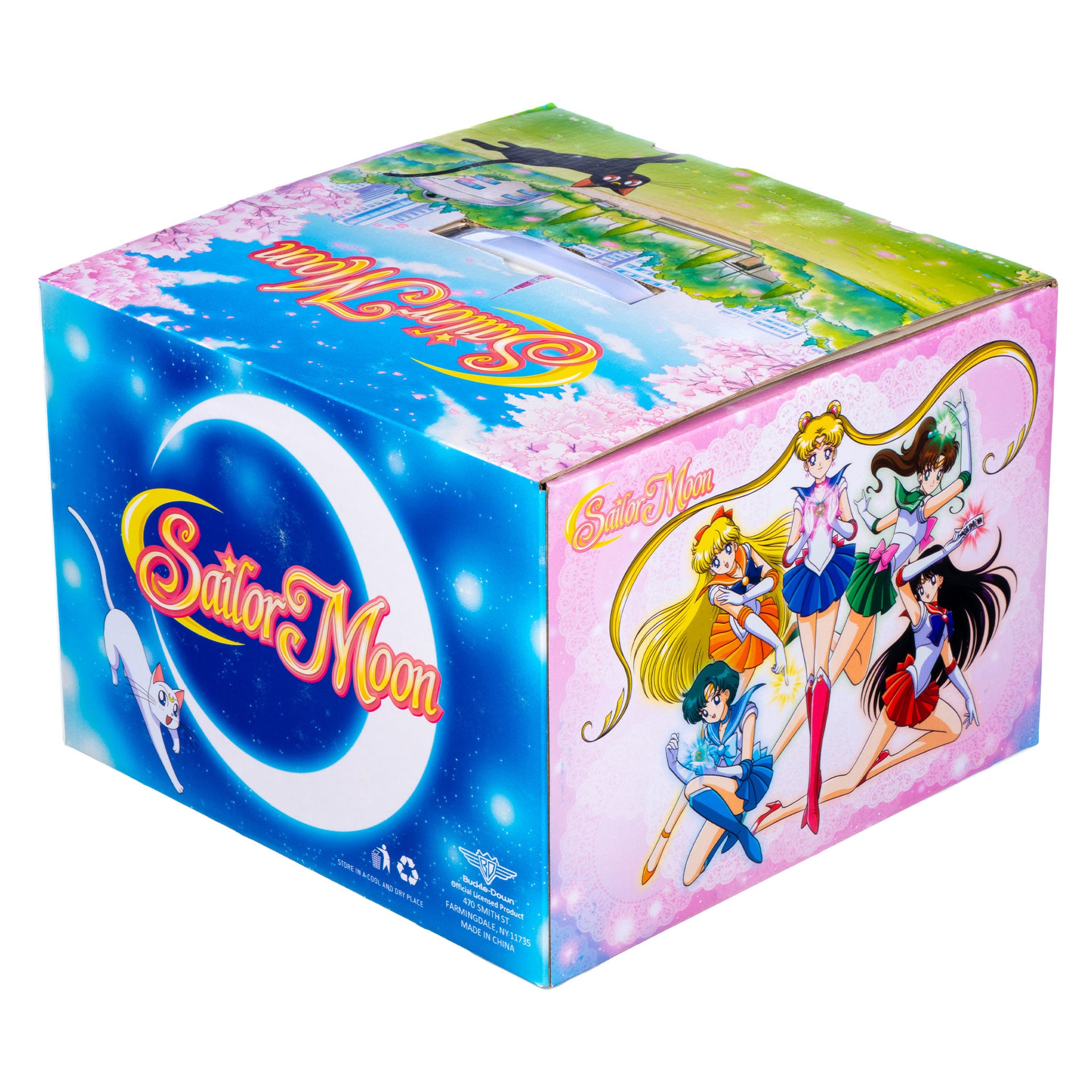 Sailor Moon Mystery Box – Stylin Boxes
