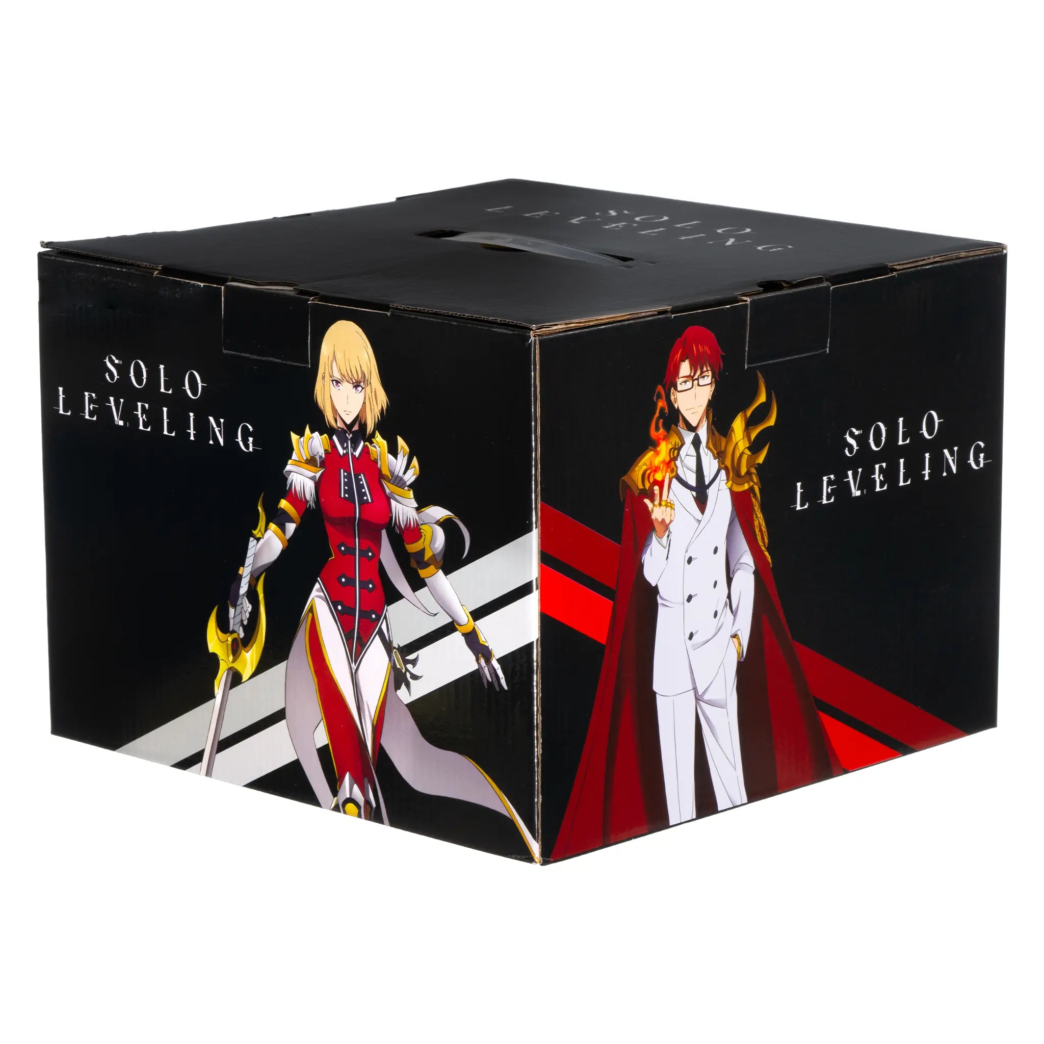 Solo Leveling Mystery Box – Stylin Boxes