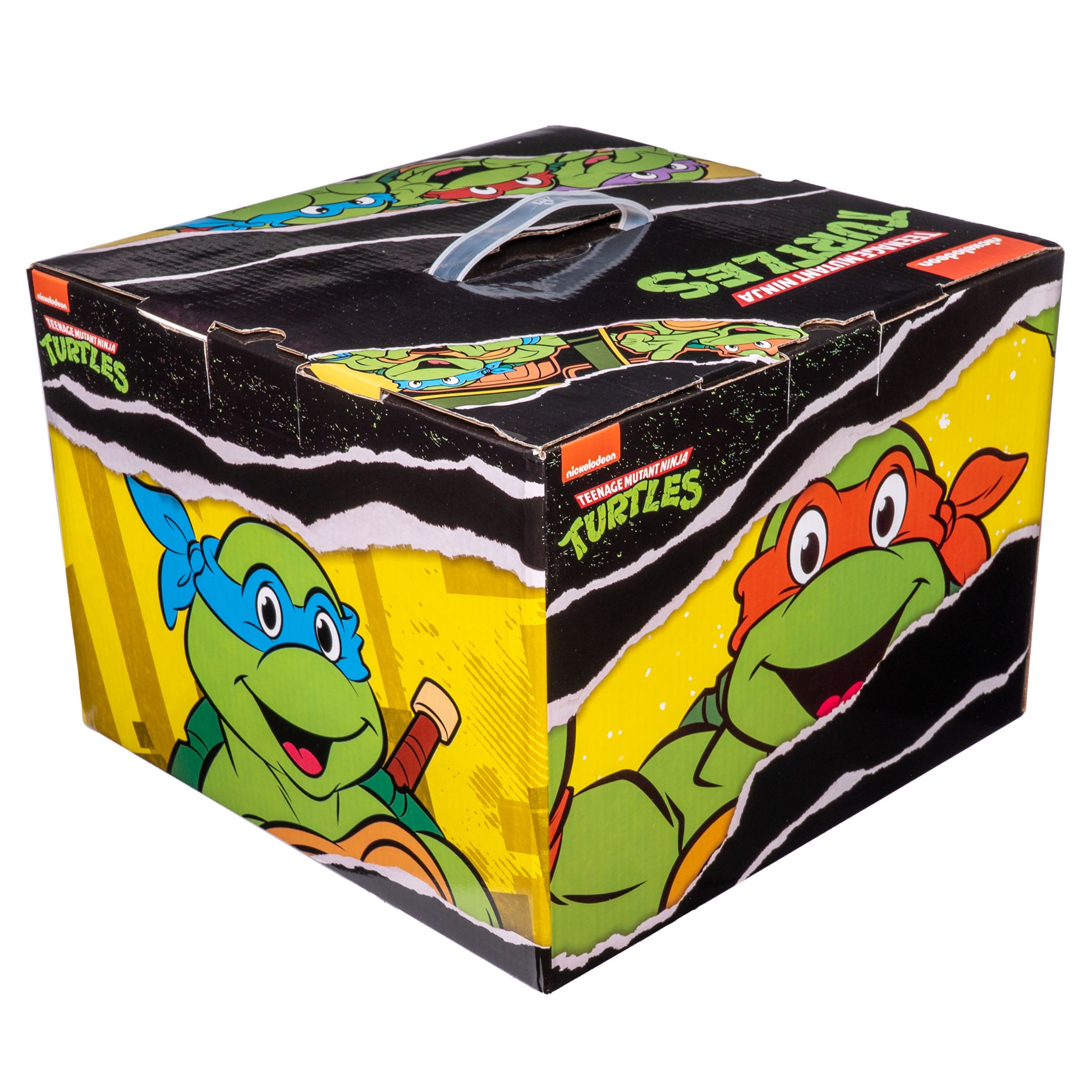 Teenage Mutant Ninja Turtles Mystery Box – Stylin Boxes