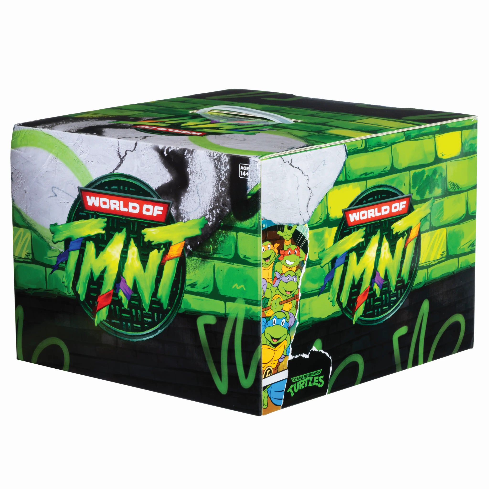 TMNT V2 Mystery Box