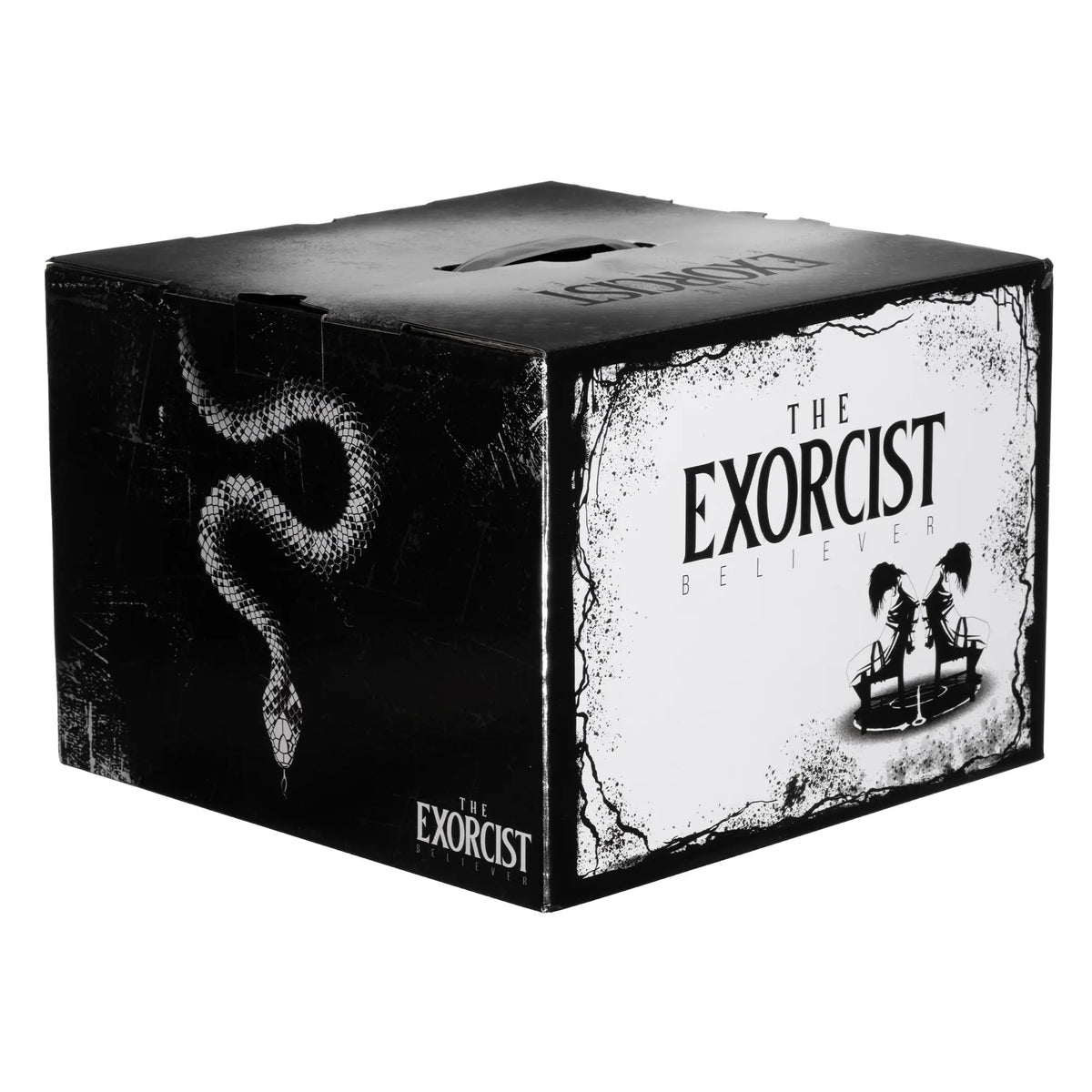 Horror Express Box Horror Mystery Boxes – Stylin Boxes